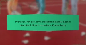 Přerušení hry pro nové hráče badmintonu: Řešení přerušení, Úcta k soupeřům, Komunikace
