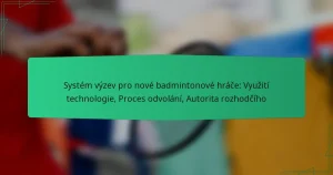 Systém výzev pro nové badmintonové hráče: Využití technologie, Proces odvolání, Autorita rozhodčího