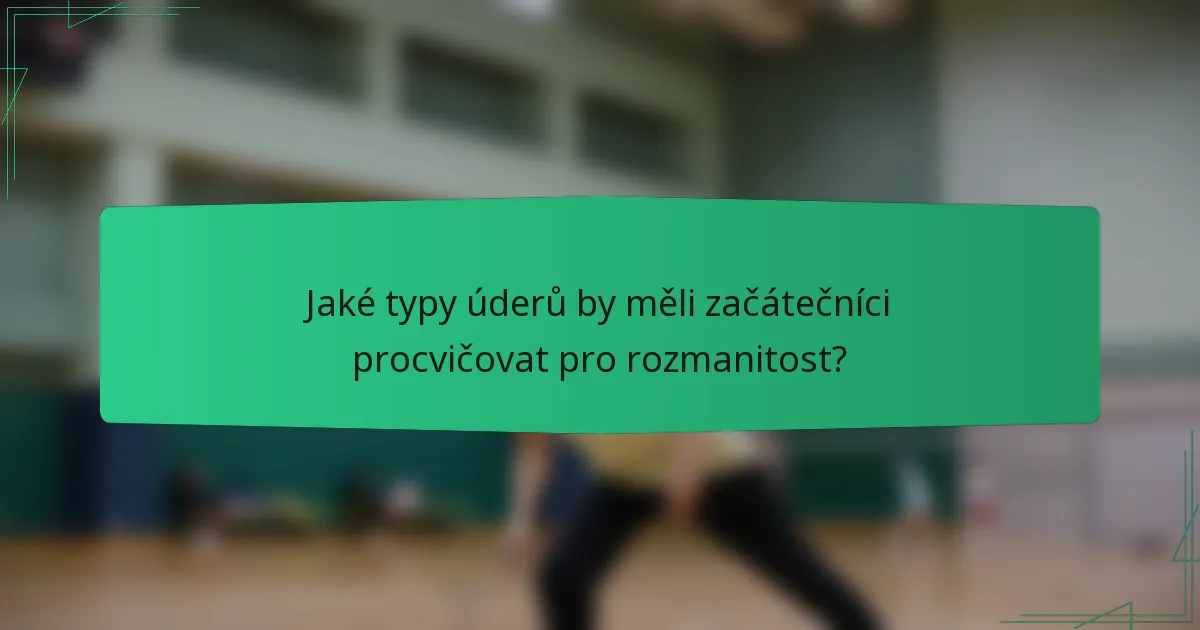 Jaké typy úderů by měli začátečníci procvičovat pro rozmanitost?
