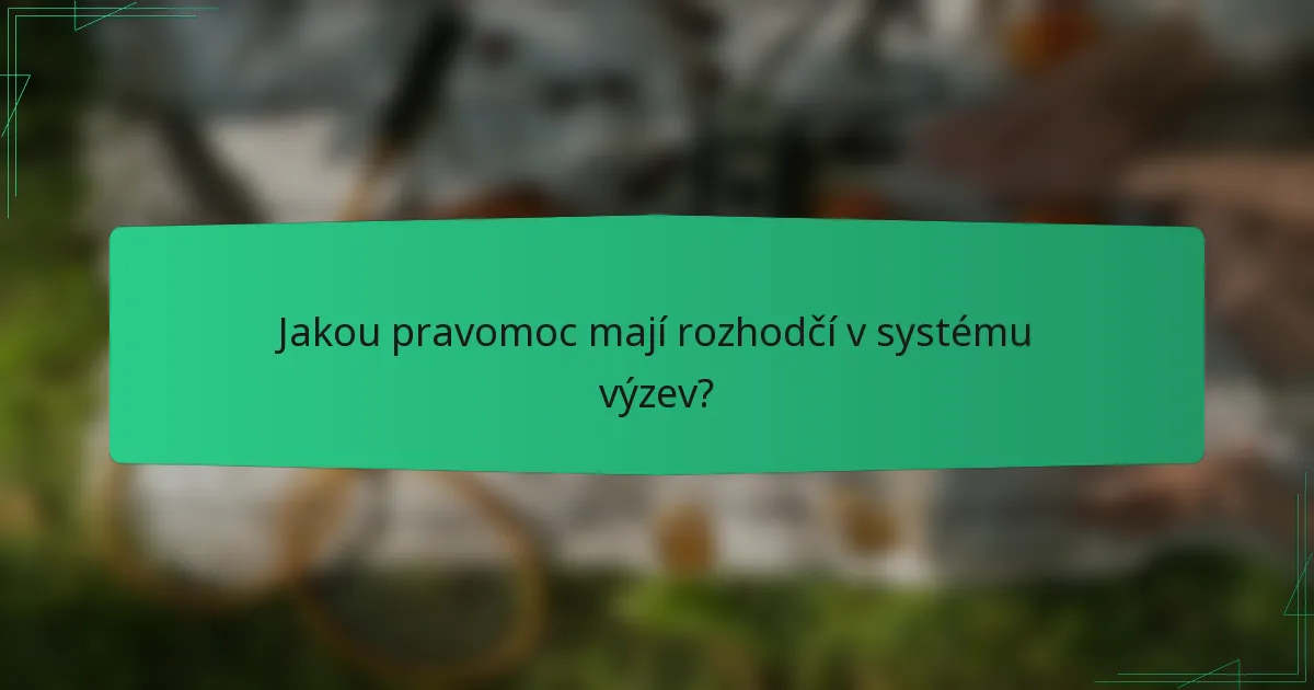 Jakou pravomoc mají rozhodčí v systému výzev?